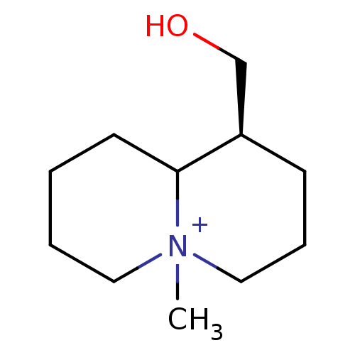 PNG