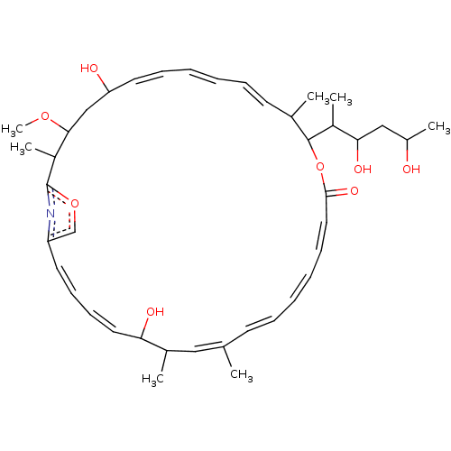 PNG