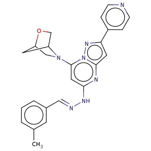 PNG