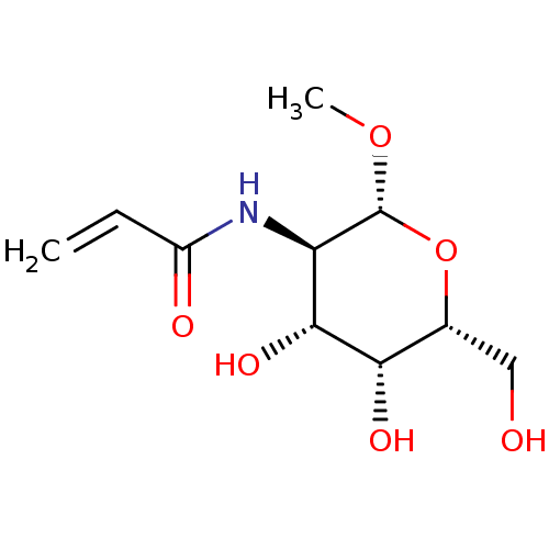 PNG