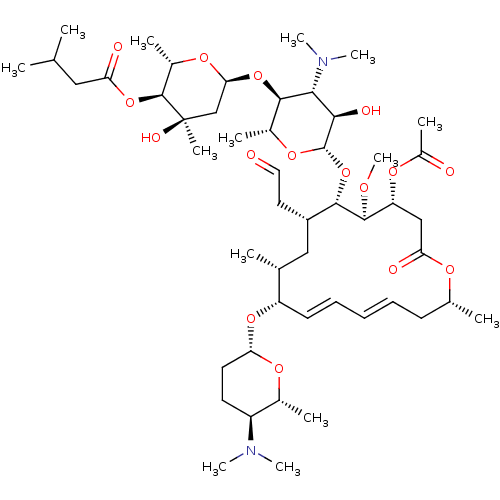 PNG