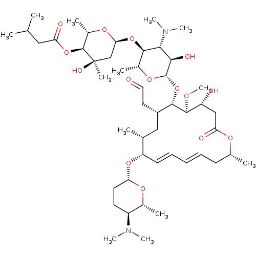 PNG