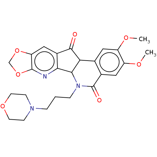 PNG