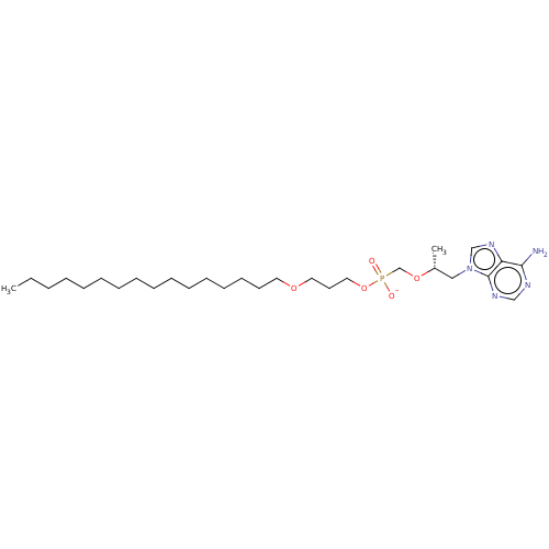 PNG