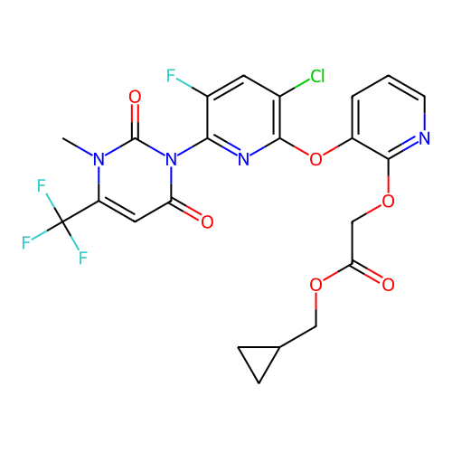 PNG