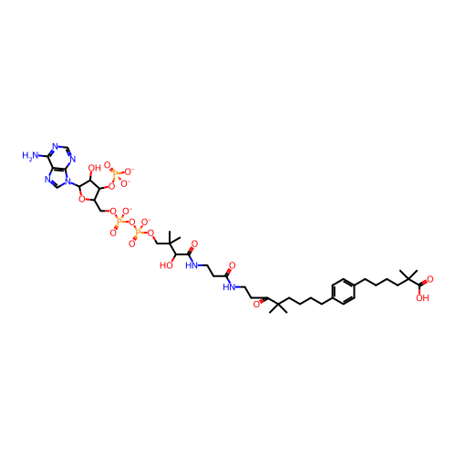 PNG