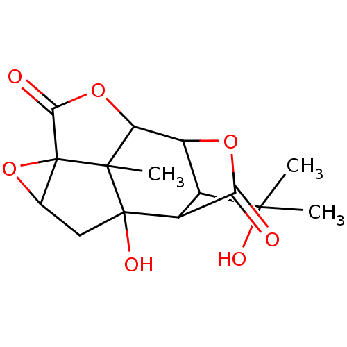 PNG