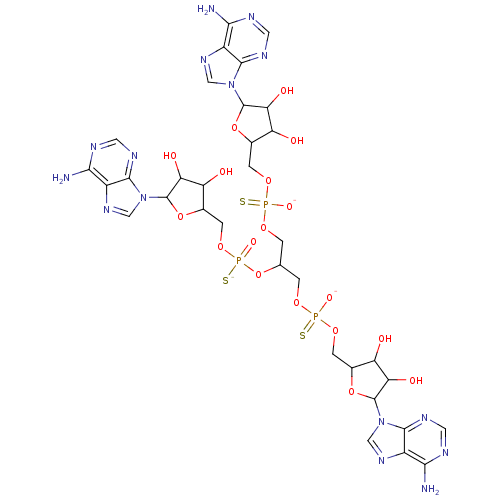 PNG