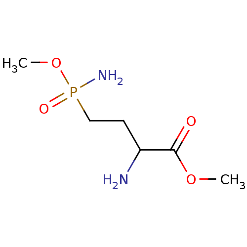 PNG