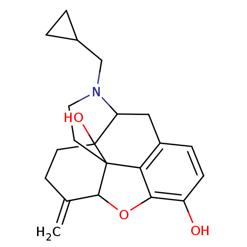 PNG