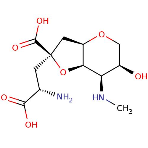 PNG