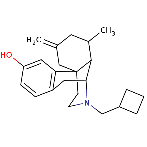 PNG