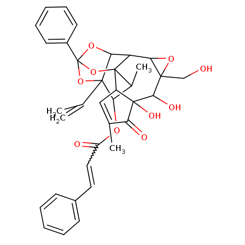 PNG