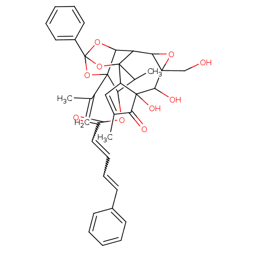 PNG