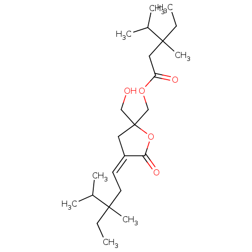 PNG