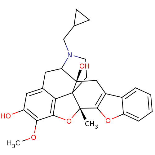 PNG