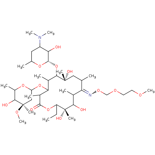 PNG