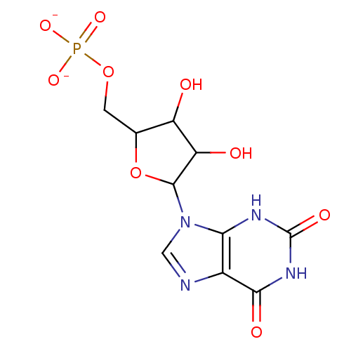 PNG