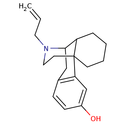PNG