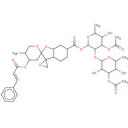 PNG