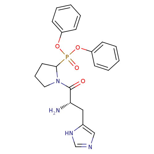 PNG